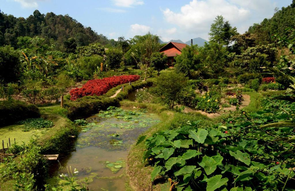 Hotel Panhou Retreat à Ha Giang Extérieur photo
