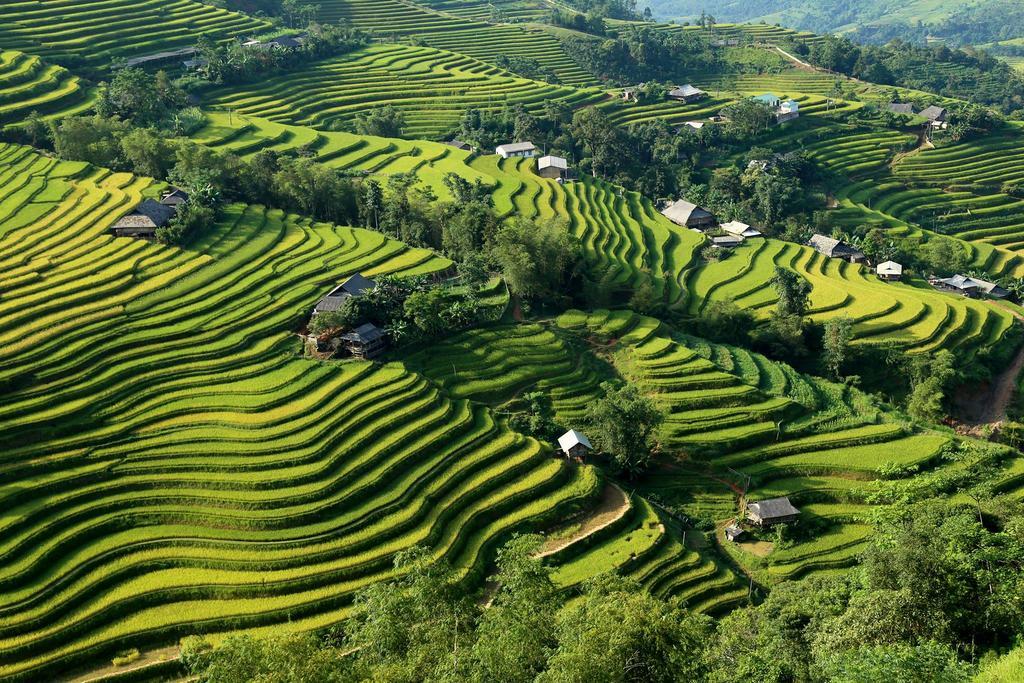 Hotel Panhou Retreat à Ha Giang Extérieur photo